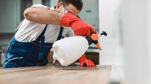 Best Pest Prevention Services  in Maysville, MO